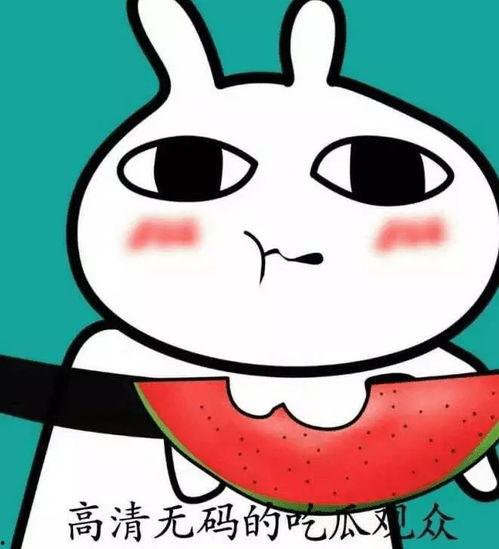 吃瓜的爱豆