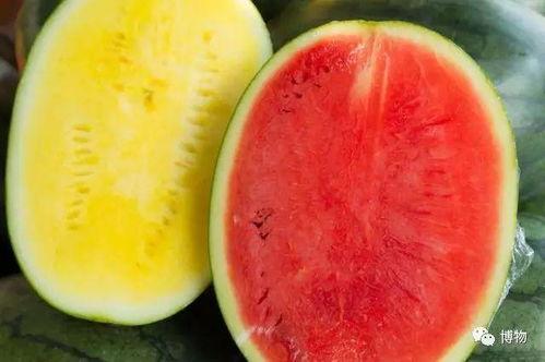 高级吃瓜,一场舌尖上的狂欢盛宴