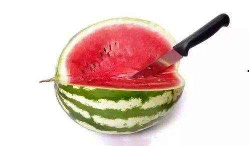 高级吃瓜,一场舌尖上的狂欢盛宴