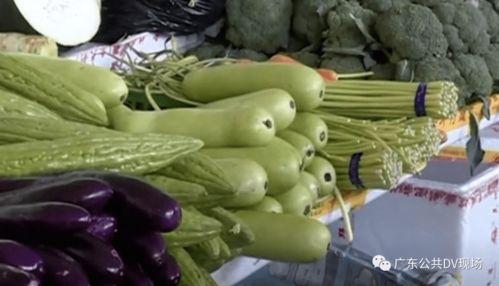 河南吃瓜中毒,揭秘夏日消暑美食背后的风险与教训