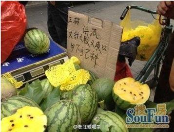 黄浦崩瓜怎么吃,解锁夏日清新美味
