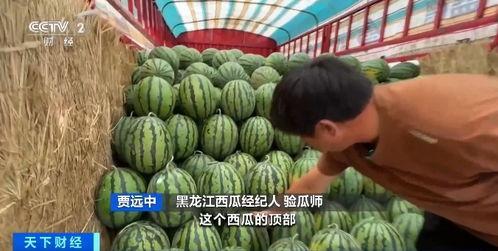 瓜老师最新吃瓜,揭秘娱乐圈幕后风云