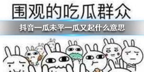 抖音吃瓜基地,热门话题背后的真相与趣味