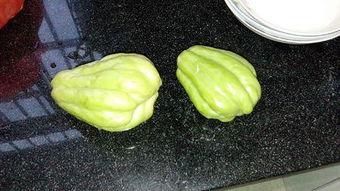 兔丸儿 吃瓜,揭秘娱乐圈那些不为人知的幕后故事