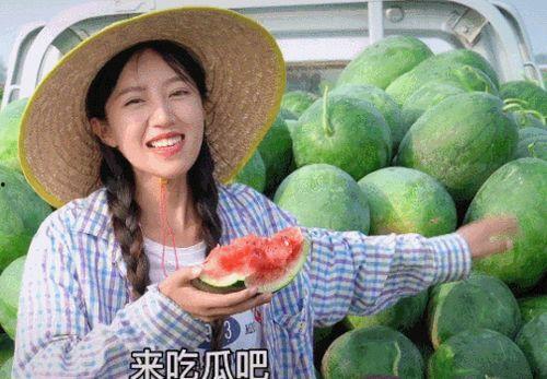 快乐吃瓜女孩,揭秘娱乐圈幕后故事