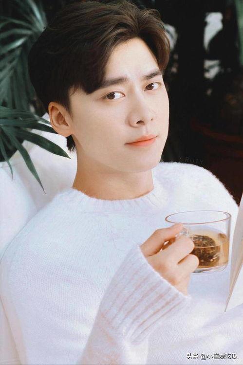 追星吃瓜徐正溪,从追星到吃瓜，娱乐圈的“瓜王”之路