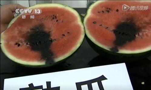 吃瓜爆笑图文,爆笑图文带你领略欢乐瞬间