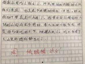 吃籽瓜的作文,童年记忆的甘甜