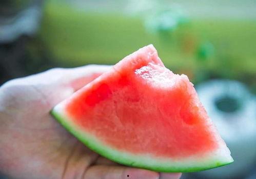 吃瓜的乐趣图片,揭秘网络热议背后的欢乐瞬间