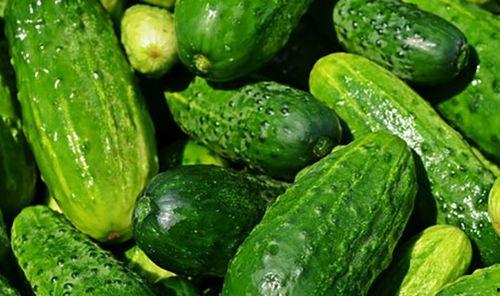 夏天吃啥瓜菜,清凉一夏，美味尽享