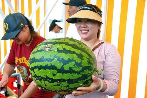 吃瓜快乐网,吃瓜快乐网带你畅游八卦盛宴