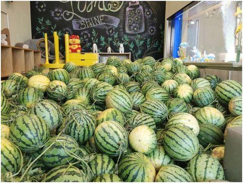 吃瓜快乐网,吃瓜快乐网带你畅游八卦盛宴