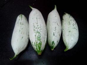 老鼠瓜点吃,探寻传统美食的独特魅力