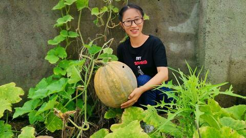 农村版儿童吃瓜,农村版儿童快乐吃瓜时光