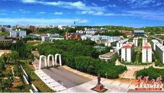 湖南湘潭大学吃瓜,揭秘背后的真相与反思