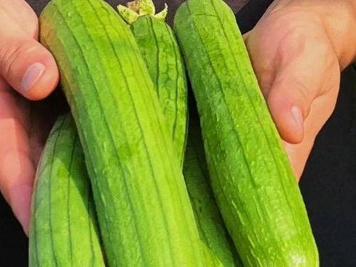 蔬菜的直接吃的瓜