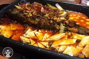 吃瓜之鱼,揭秘网络热议背后的真相与趣味