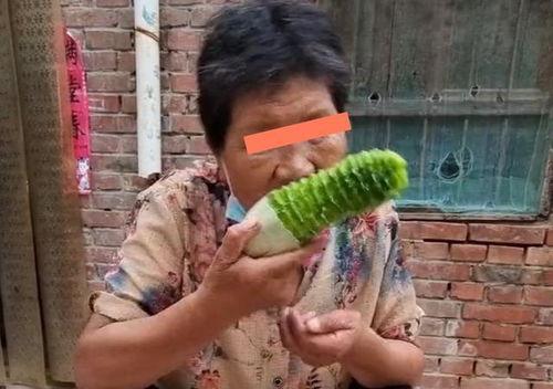 给老奶奶吃瓜,给老奶奶送瓜的温馨瞬间