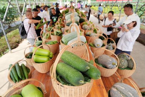 广州海上吃瓜视频