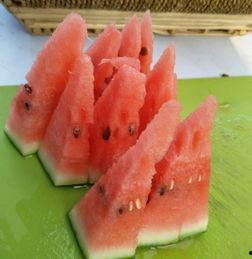 吃瓜菜单,一场味蕾与视觉的盛宴