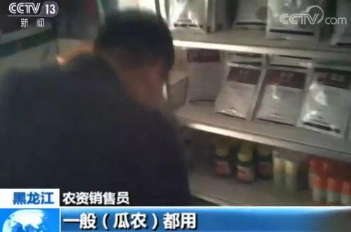 奇葩汇总吃瓜曝光视频,揭秘网络热传吃瓜曝光视频背后的真相