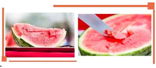 沙河最新吃瓜视频