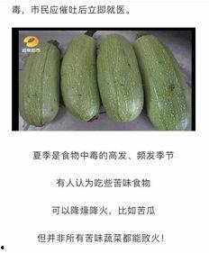 吃白瓜瘦吗,揭秘吃白瓜真的能瘦吗？”  第3张