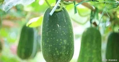 吃瓜七月  第3张