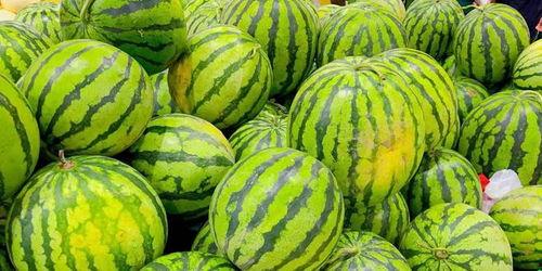 大肚吃瓜  第2张