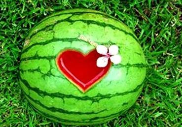 自己梦见摘瓜吃  第2张