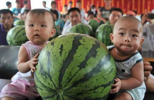 吃瓜比赛的报道  第2张