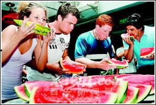 吃瓜比赛的报道  第3张