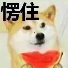 吃瓜凑热闹  第3张