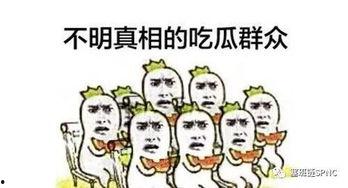 吃不懂瓜,探寻网络流行语的奥秘与影响