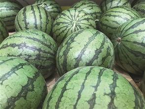 梦见吃红薯和瓜