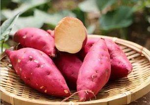 梦见吃红薯和瓜  第3张