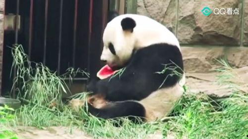 吃瓜群众瓜突然没了  第3张