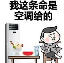 没睡吃瓜,揭秘娱乐圈那些不为人知的秘密  第3张