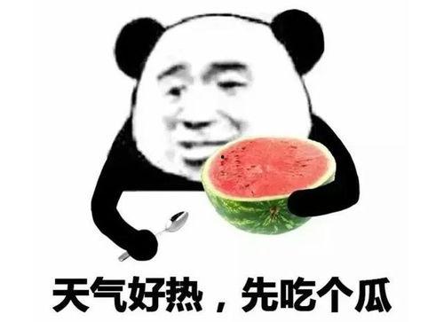 水产美人吃瓜表情包  第1张
