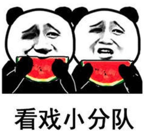 水产美人吃瓜表情包  第2张