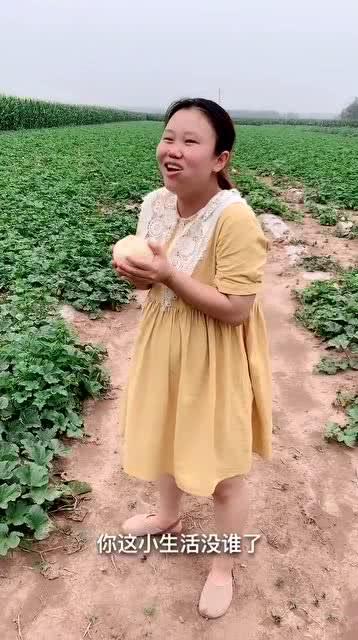 孕妇梦到地里吃瓜,地瓜梦境背后的寓意与启示