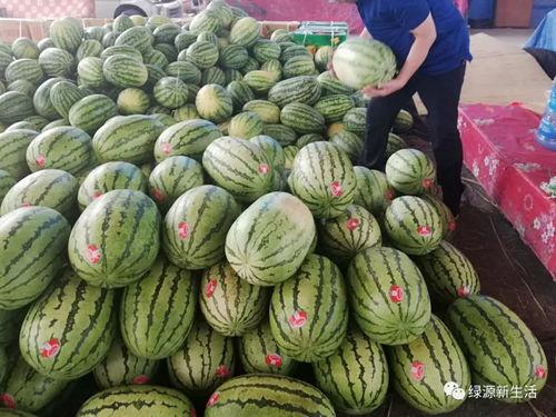 吃瓜纳凉图  第2张