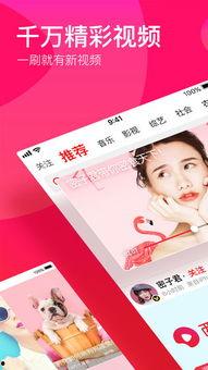 吃瓜视频appios,iOS平台上的瓜界新宠，带你轻松畅游娱乐圈